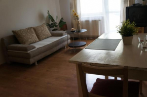 Гостиница Apartament na Ratajach  Познань